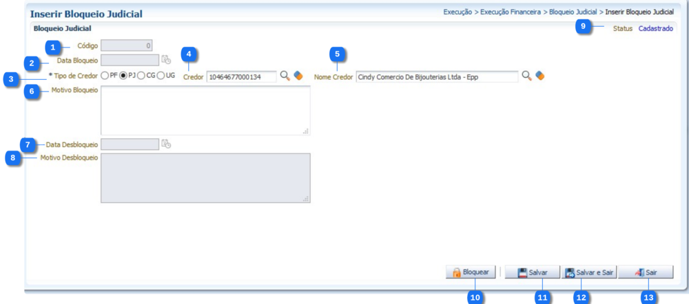 BloqueioJudicial Inserir.png